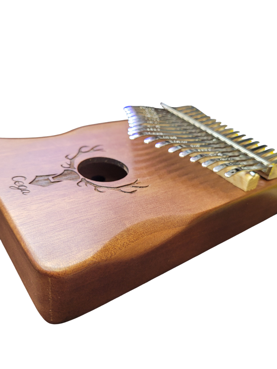 20250330_114033-Photoroom