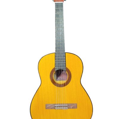 گیتار مارتینا ۴/۴