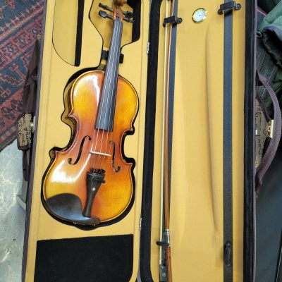 ویولن حرفه ای هافنر HOFNER 046 4/4
